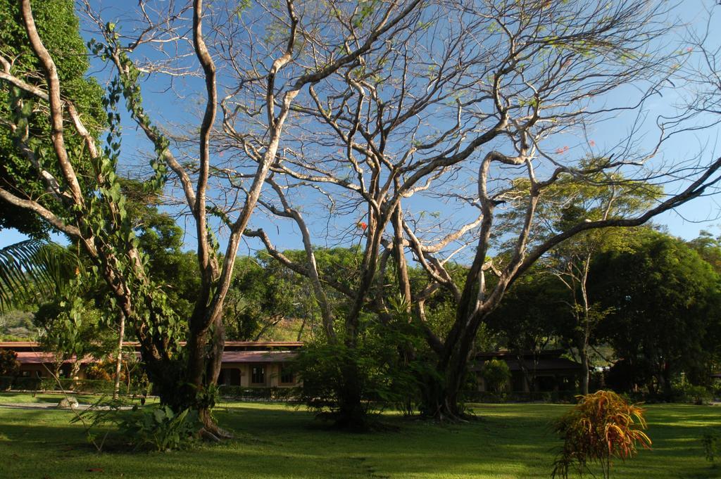 Jaco Hotel Docelunas Buitenkant foto